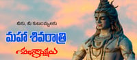 శివుని అనుగ్రహం పొందాలి అంటే ఈరోజు ఇలా చేయండి..?